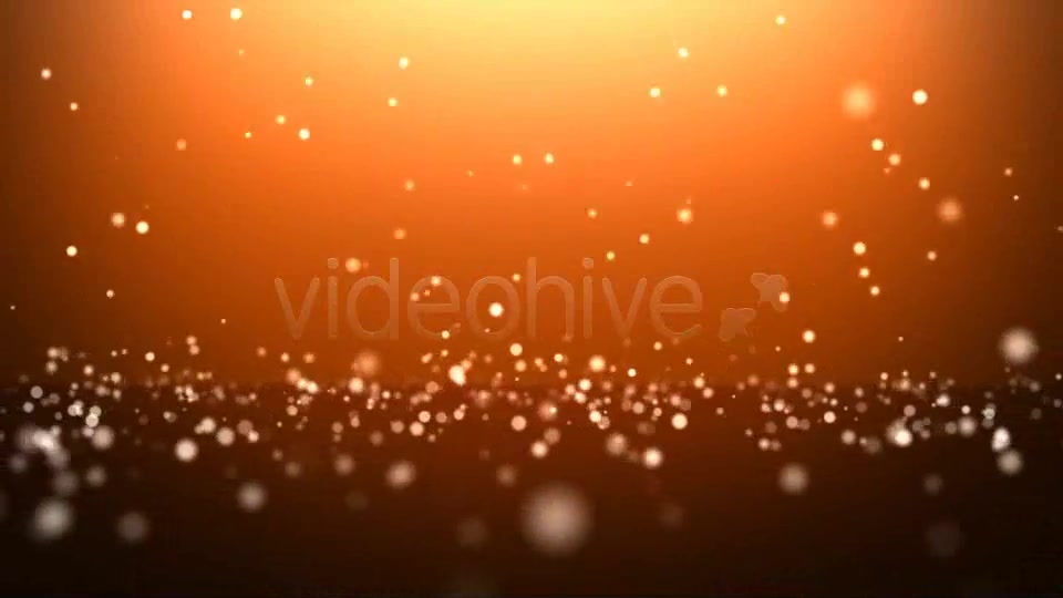 Defocused - Download Videohive 154870