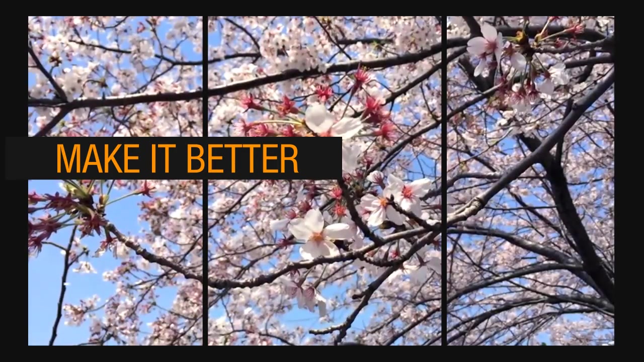 Demo Reel Videohive 10706355 After Effects Image 9