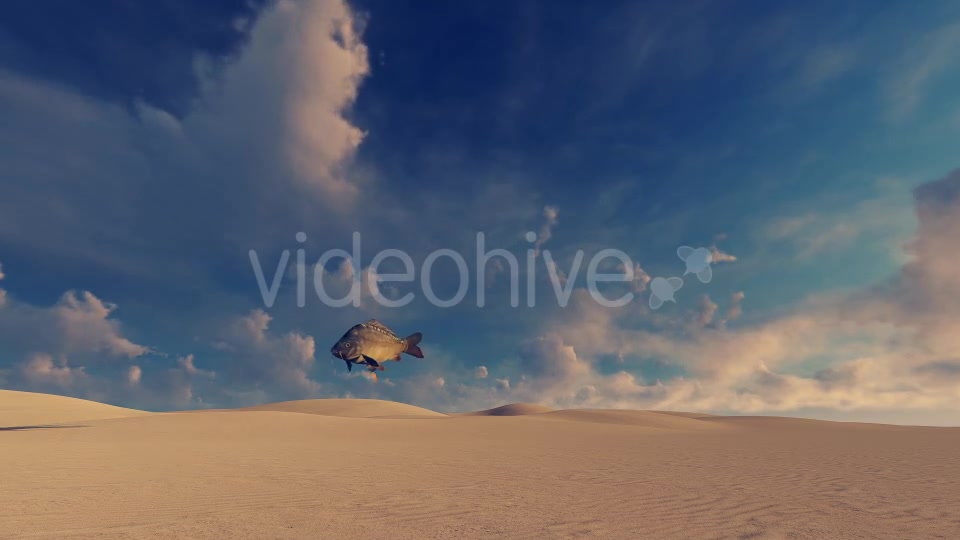 Desert and Fish Surreal Scene - Download Videohive 21288308