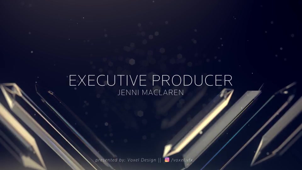 Diamond Awards Packaging Videohive 22061739 After Effects Image 12