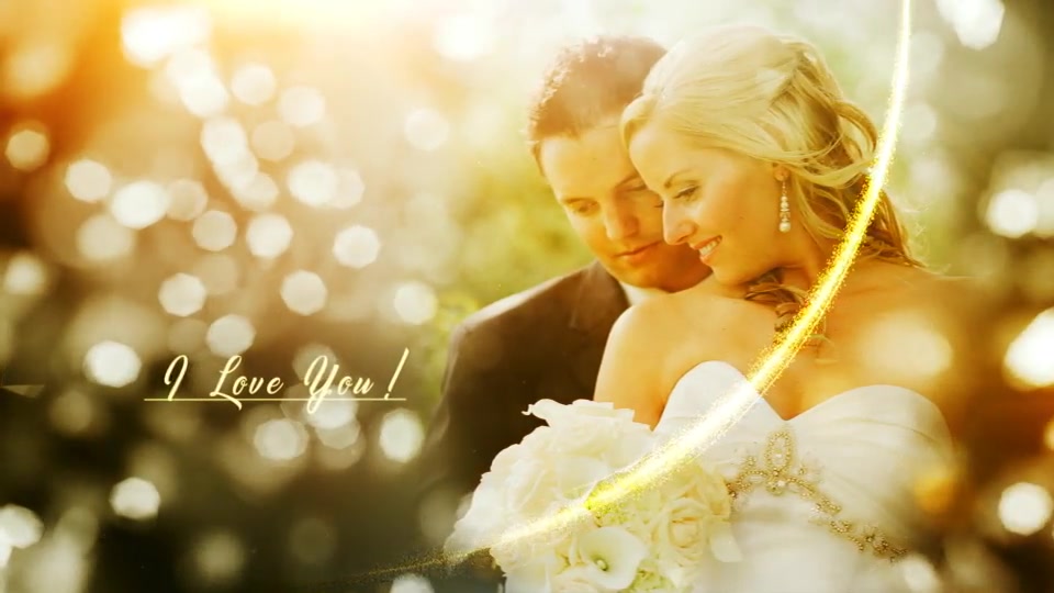 Diamond Wedding - Download Videohive 20069645