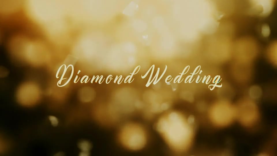 Diamond Wedding - Download Videohive 20069645