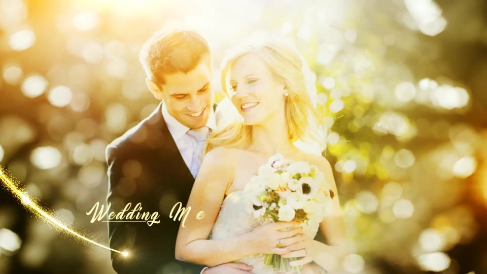 Diamond Wedding - Download Videohive 20069645