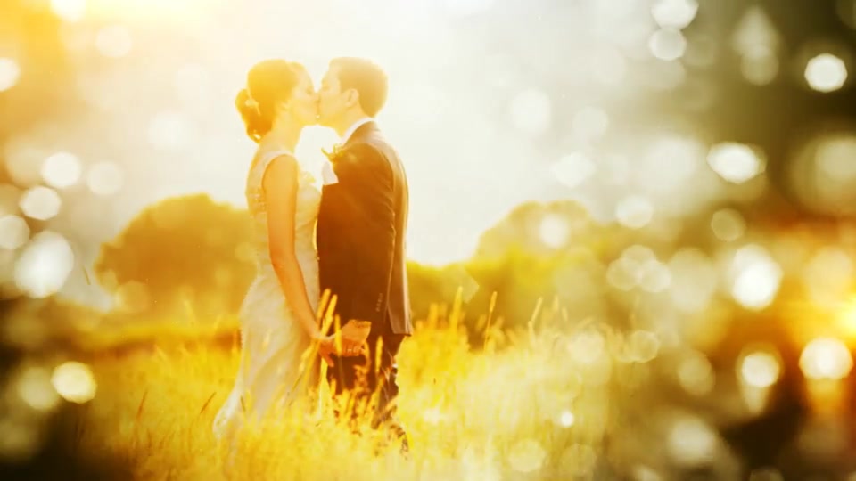 Diamond Wedding - Download Videohive 20069645