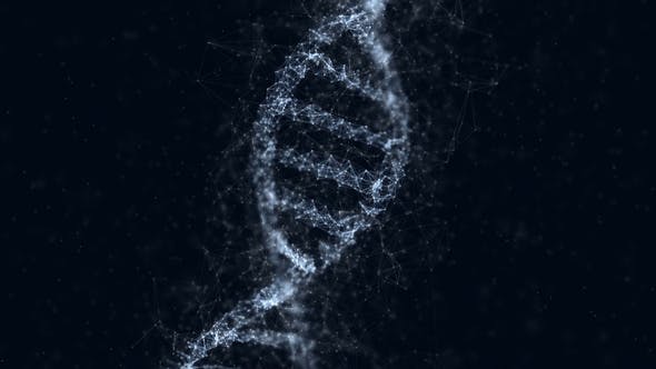 Digital DNA Structure - 14388110 Videohive Download
