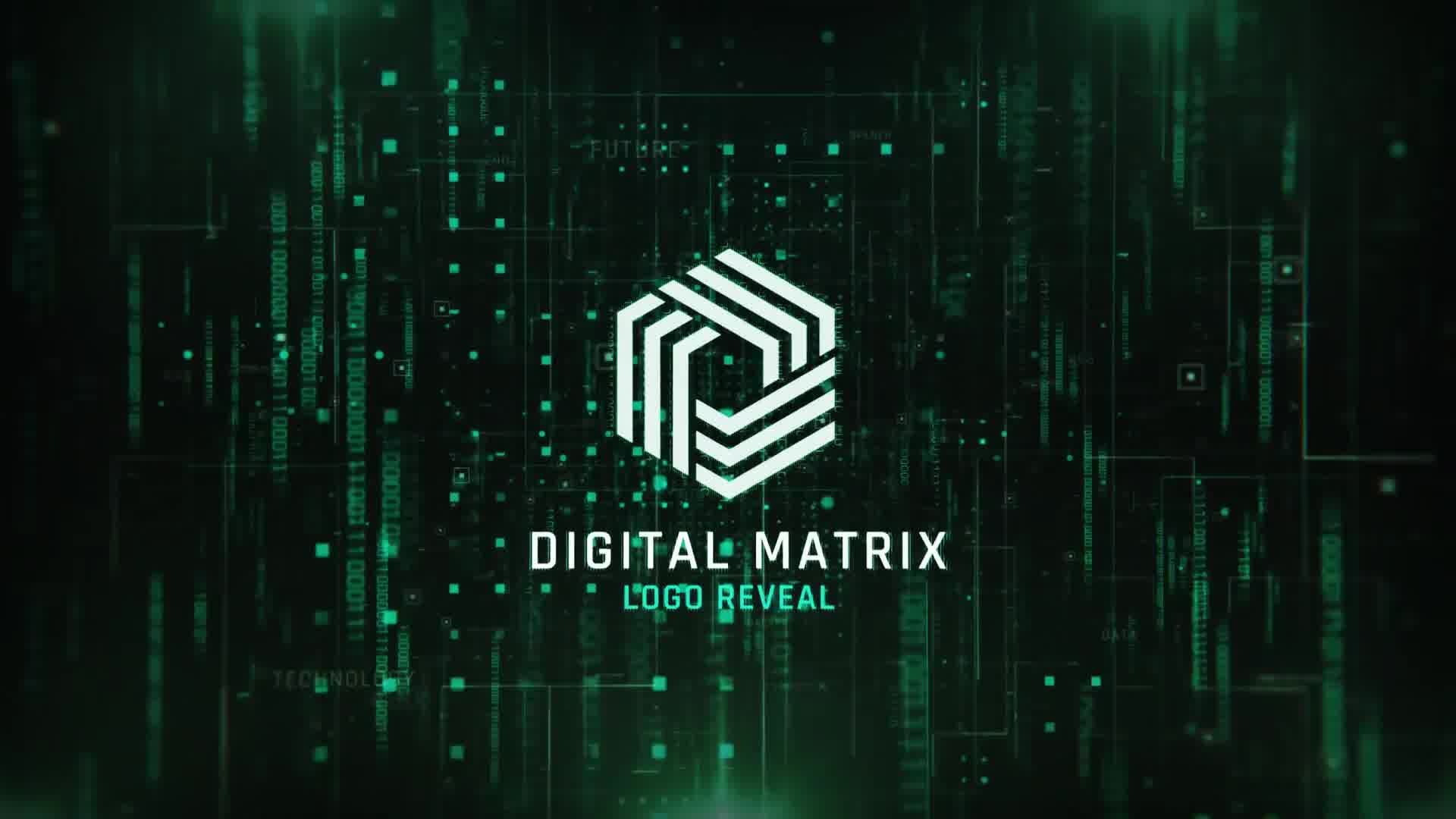 Digital Matrix Logo Videohive 32069744 After Effects Image 10