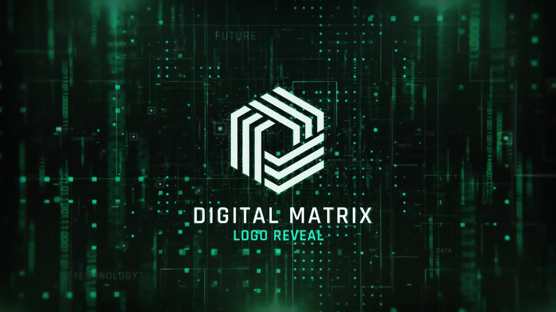 Digital Matrix Logo Videohive 32069744 After Effects Image 9