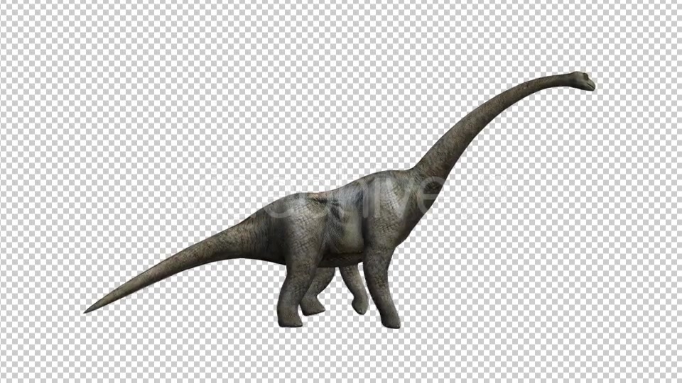Dinosaur Huge Brontosaurus Walking - Download Videohive 21062366