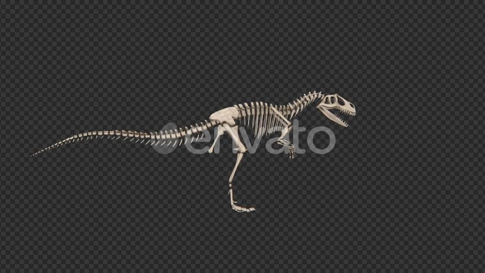 Dinosaur Skeleton - Download Videohive 21740325