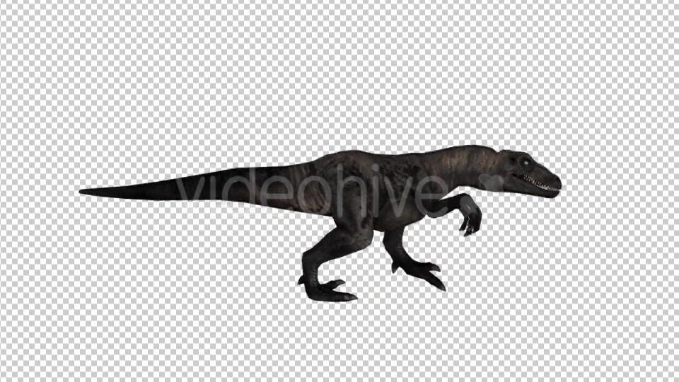 Dinosaur Velociraptor Walk Animation - Download Videohive 21062193