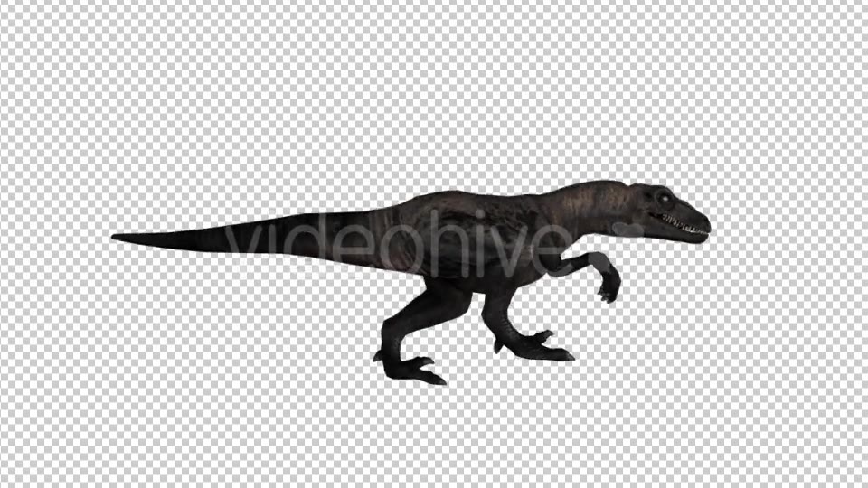 Dinosaur Velociraptor Walk Animation - Download Videohive 21062193