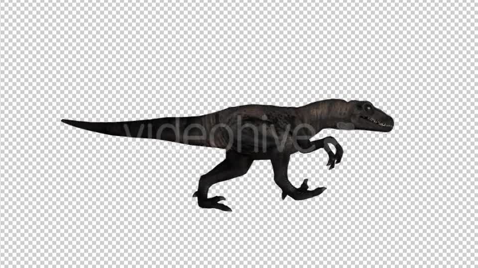 Dinosaur Velociraptor Walk Animation - Download Videohive 21062193