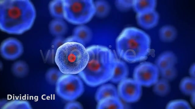 Dividing Cell - Download Videohive 5233102