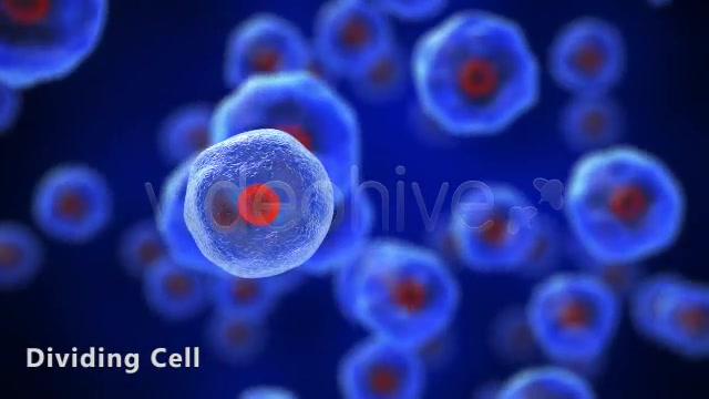 Dividing Cell - Download Videohive 5233102