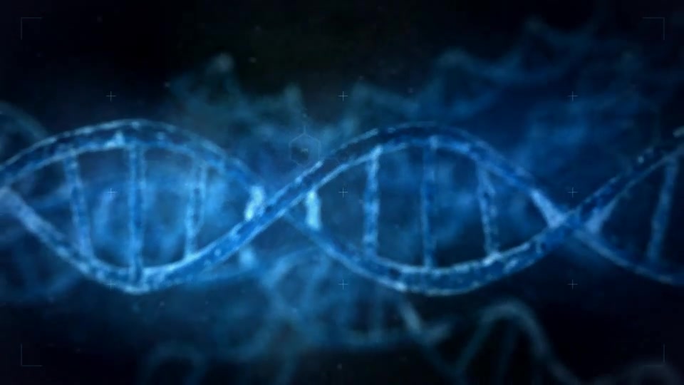 DNA Videohive 11448790 After Effects Image 10