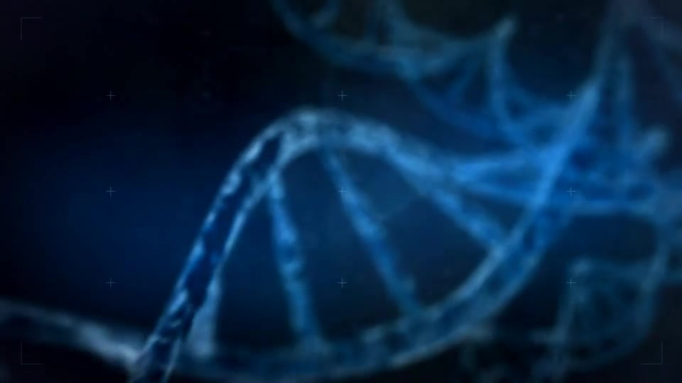DNA Videohive 11448790 After Effects Image 3