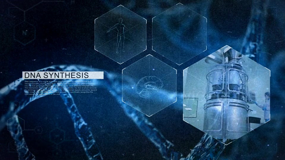 DNA Videohive 11448790 After Effects Image 4