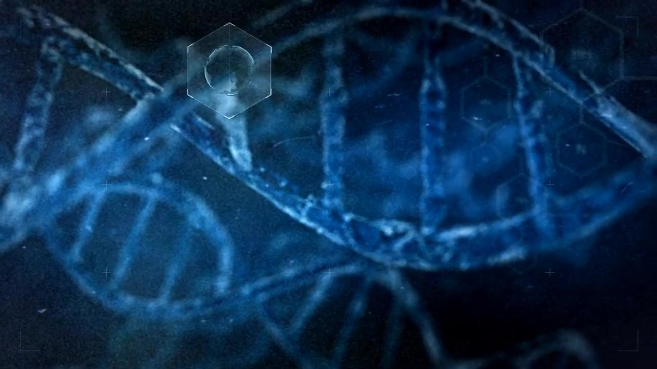 DNA Videohive 11448790 After Effects Image 7