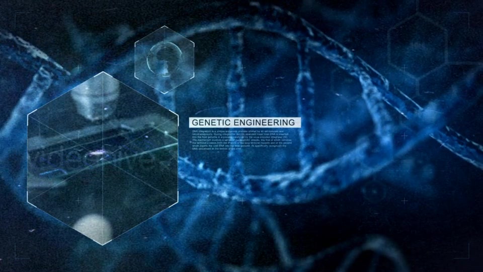 DNA Videohive 11448790 After Effects Image 8