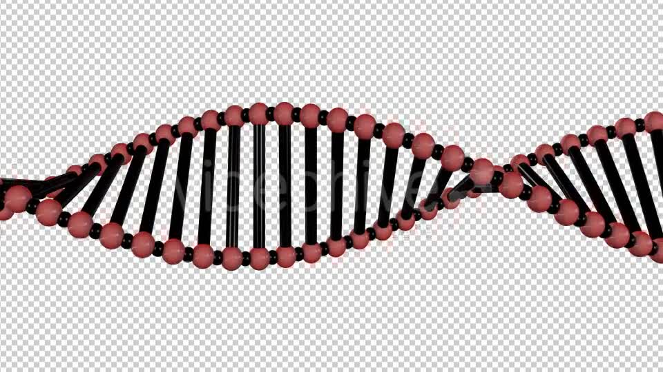 DNA Double Helix - Download Videohive 19407850