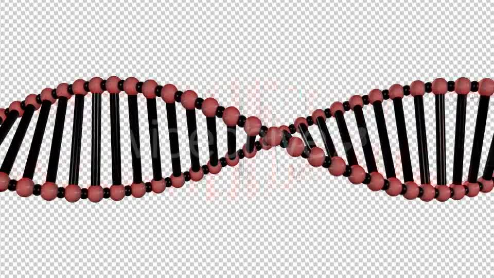 DNA Double Helix - Download Videohive 19407850