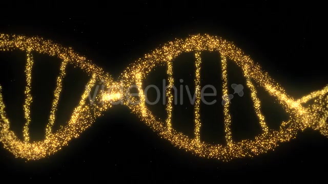 DNA Double Helix Strand of Particles - Download Videohive 9019758