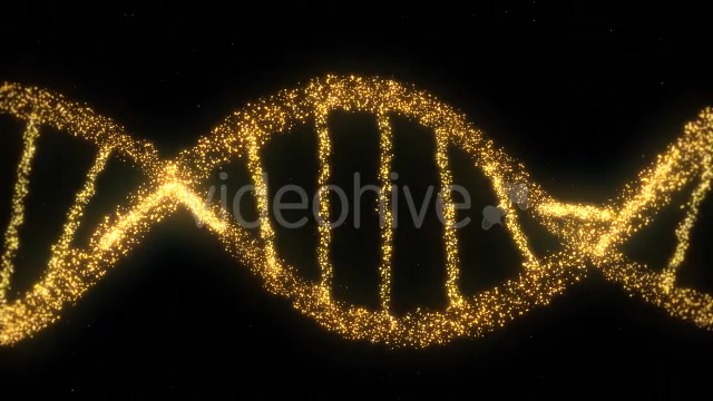 DNA Double Helix Strand of Particles - Download Videohive 9019758