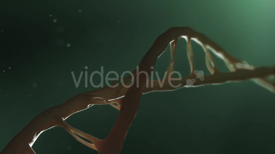 DNA - Download Videohive 18863900