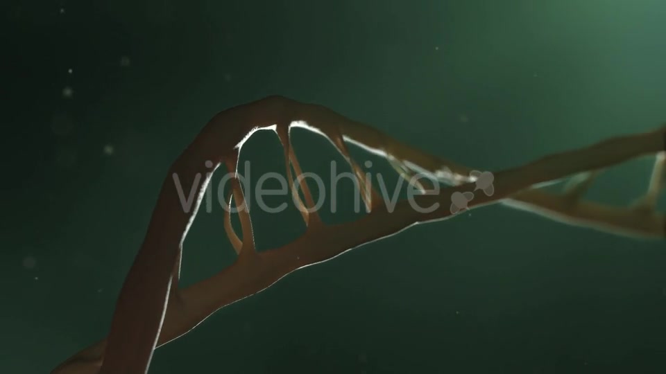 DNA - Download Videohive 18863900
