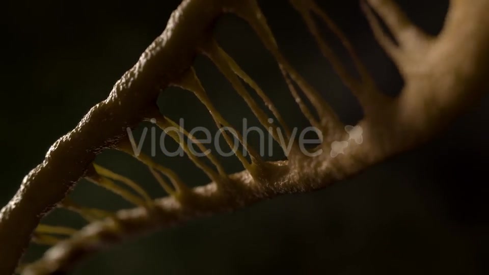 DNA - Download Videohive 21228887