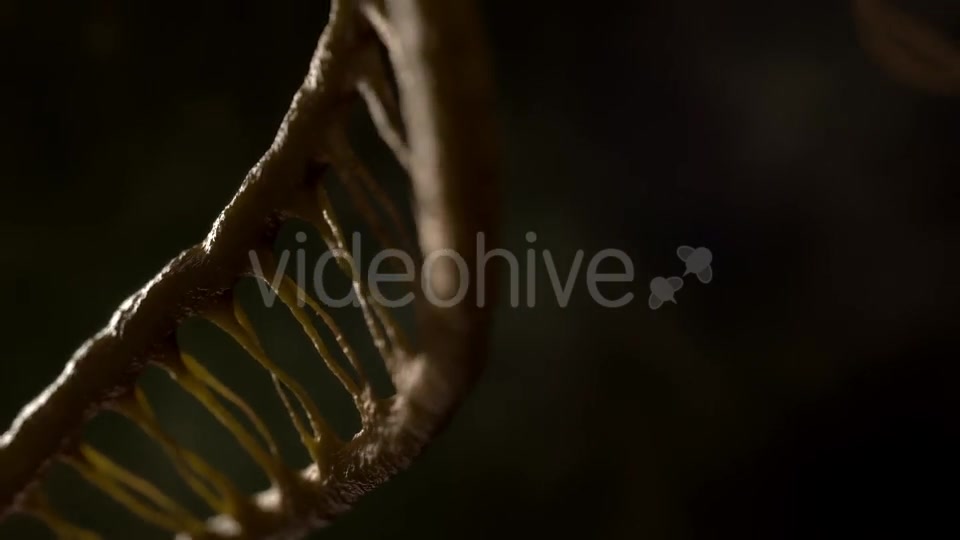 DNA - Download Videohive 21228887