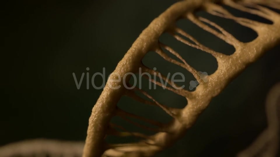 DNA - Download Videohive 21228887