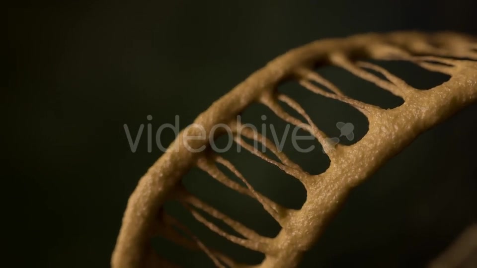 DNA - Download Videohive 21228887