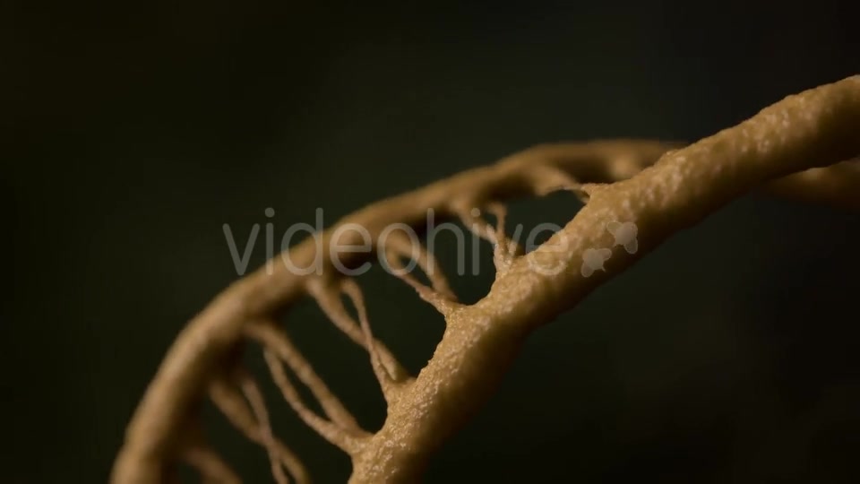 DNA - Download Videohive 21228887