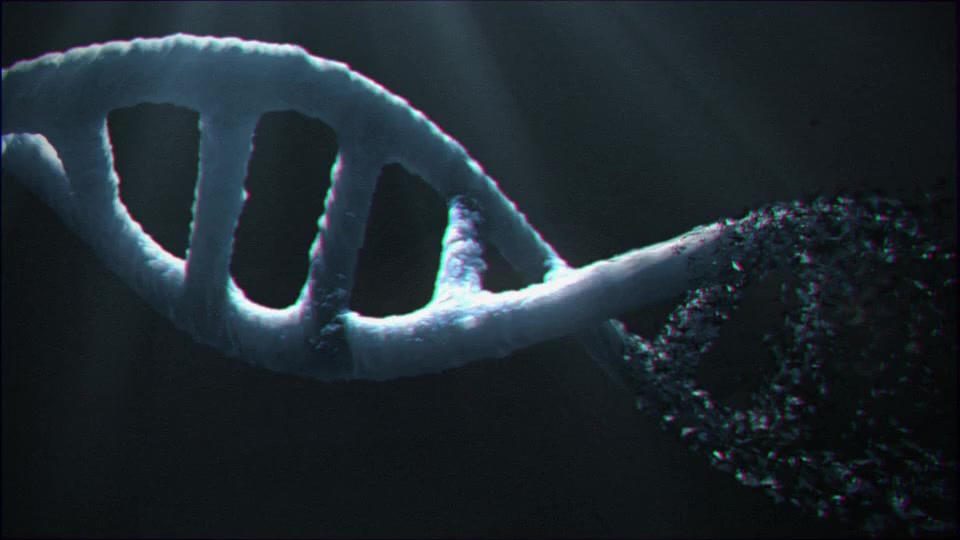 DNA Logo (2 pack) Videohive 13297571 After Effects Image 12