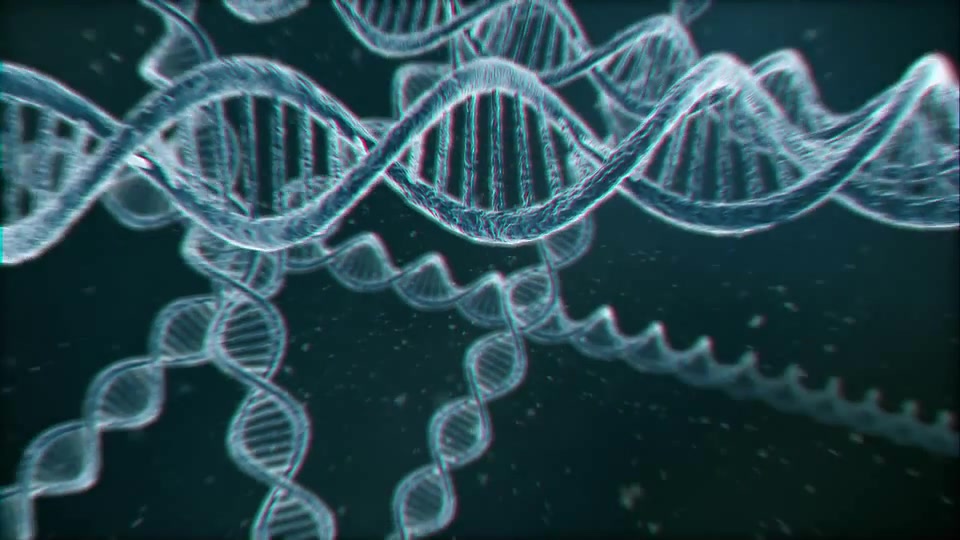 DNA Logo (2 pack) Videohive 13297571 After Effects Image 2