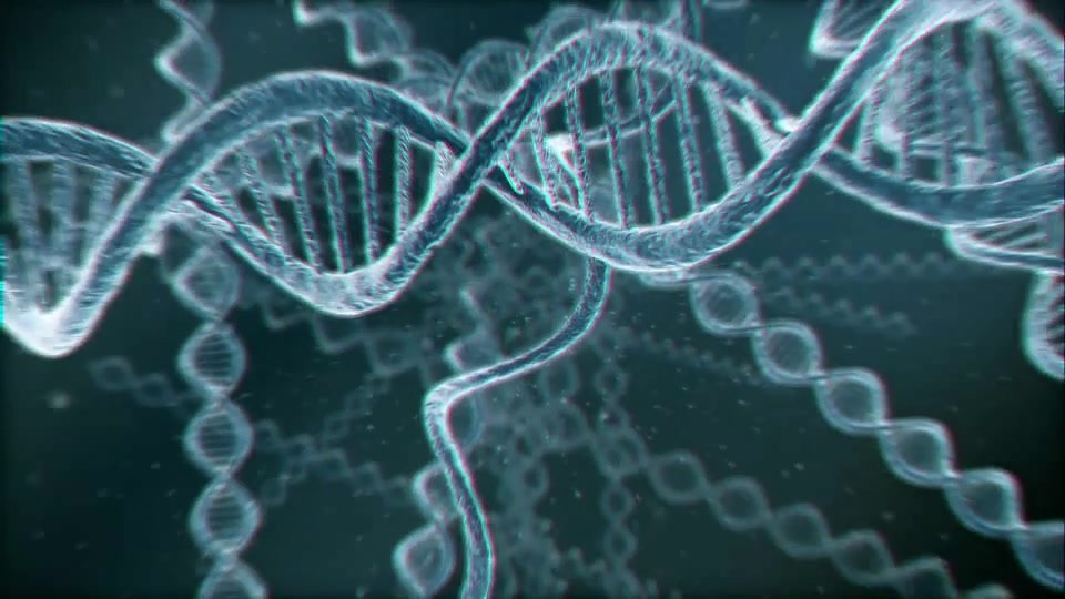 DNA Logo (2 pack) Videohive 13297571 After Effects Image 3