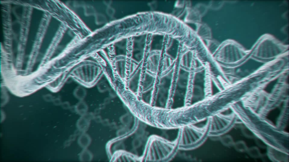 DNA Logo (2 pack) Videohive 13297571 After Effects Image 6
