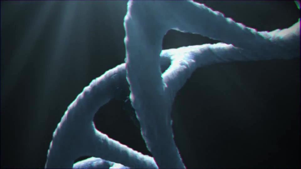 DNA Logo (2 pack) Videohive 13297571 After Effects Image 8