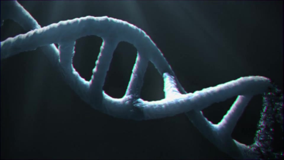 DNA Logo (2 pack) Videohive 13297571 After Effects Image 9