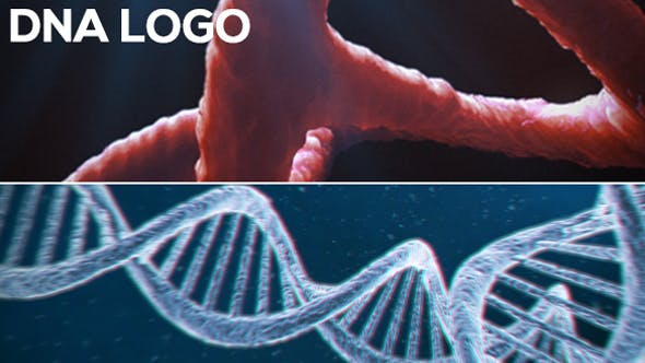 DNA Logo (2 pack) - Videohive 13297571 Download