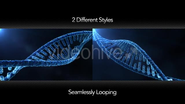 DNA Molecule Structure - Download Videohive 19863231