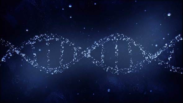 DNA Reveal - Videohive 22745866 Download