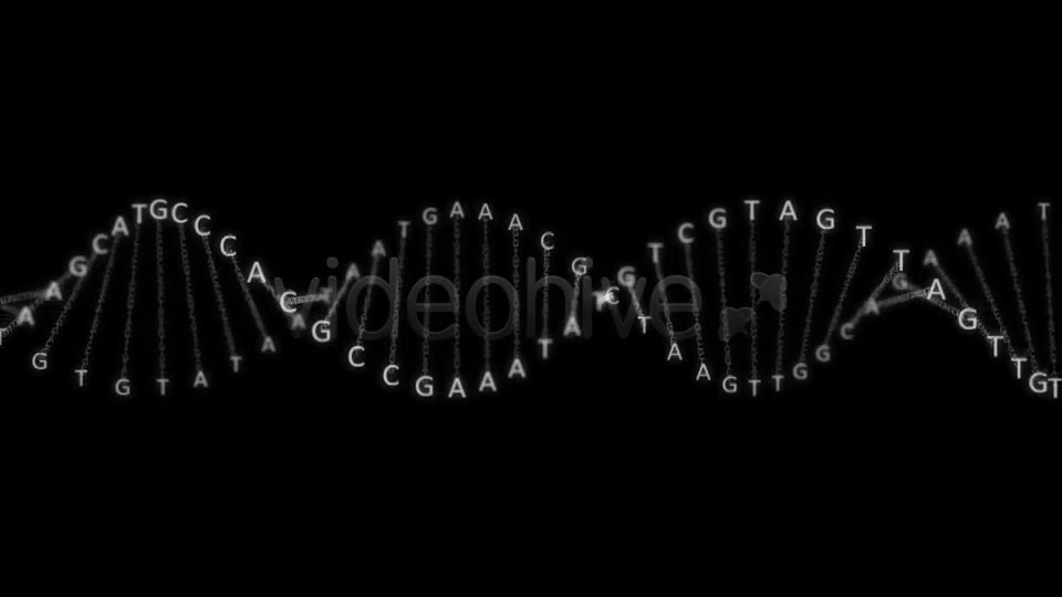 DNA Strand Videohive 535384 Motion Graphics Image 2