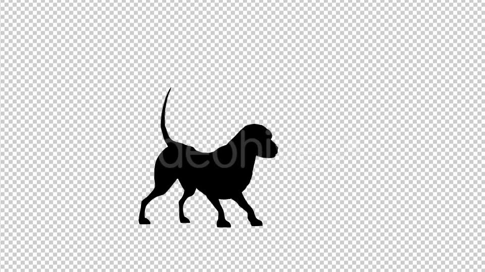 Dog Barking Silhouette Looped 2 Scene - Download Videohive 19692340
