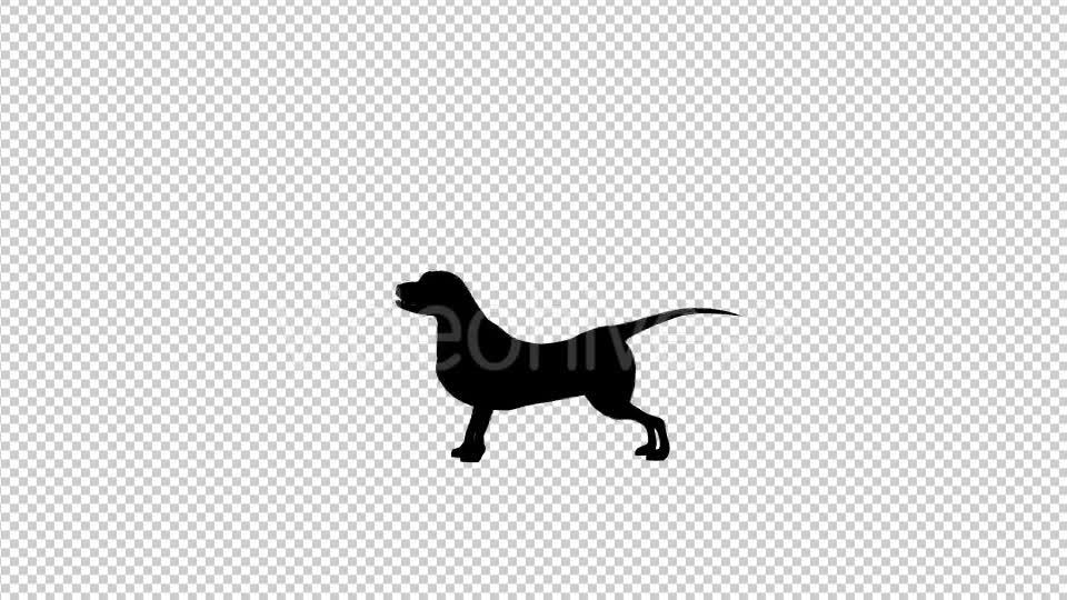 Dog Barking Silhouette Looped 2 Scene - Download Videohive 19692340