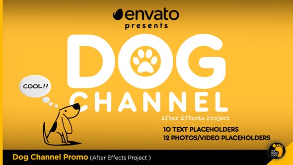 Dog Channel Broadcast Pack - Download 23759634 Videohive