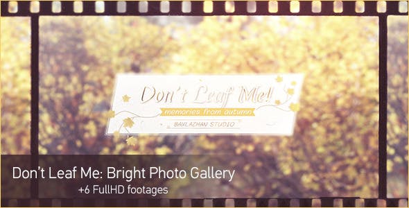 Dont Leaf Me Photo Gallery - 6066523 Download Videohive
