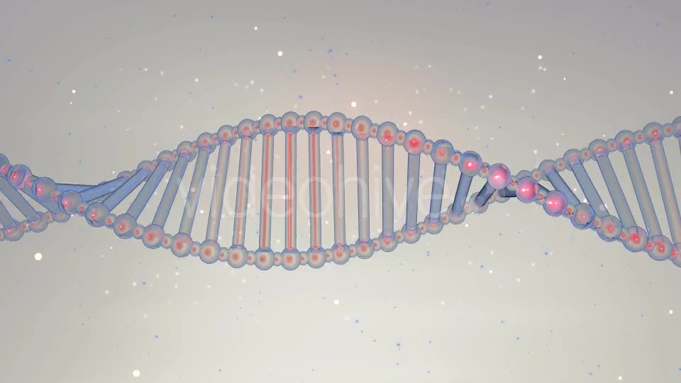 Double Helix Strand of DNA - Download Videohive 20946978