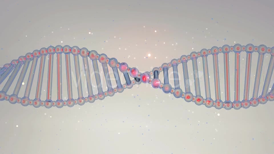 Double Helix Strand of DNA - Download Videohive 20946978